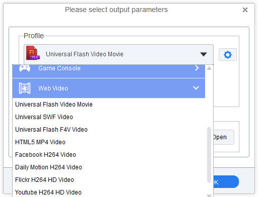 Set FLV as output format