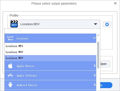 Set Lossless MOV as output format