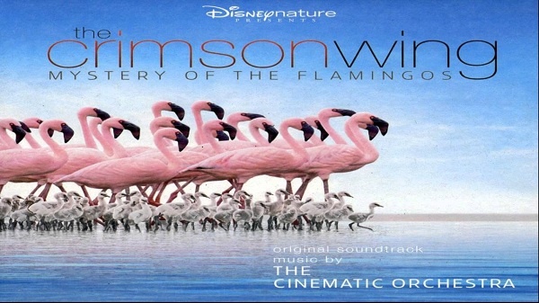 The Crimson Wing - Mystery of the Flamingos
